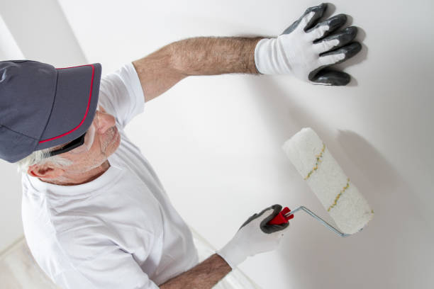 Best Crawl Space Mold Remediation  in Plainview, TN