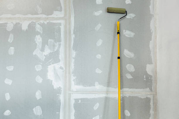 Best Real Estate Mold Inspection  in Plainview, TN