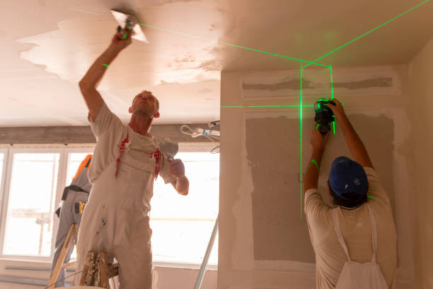 Best Mold Prevention Services  in Plainview, TN